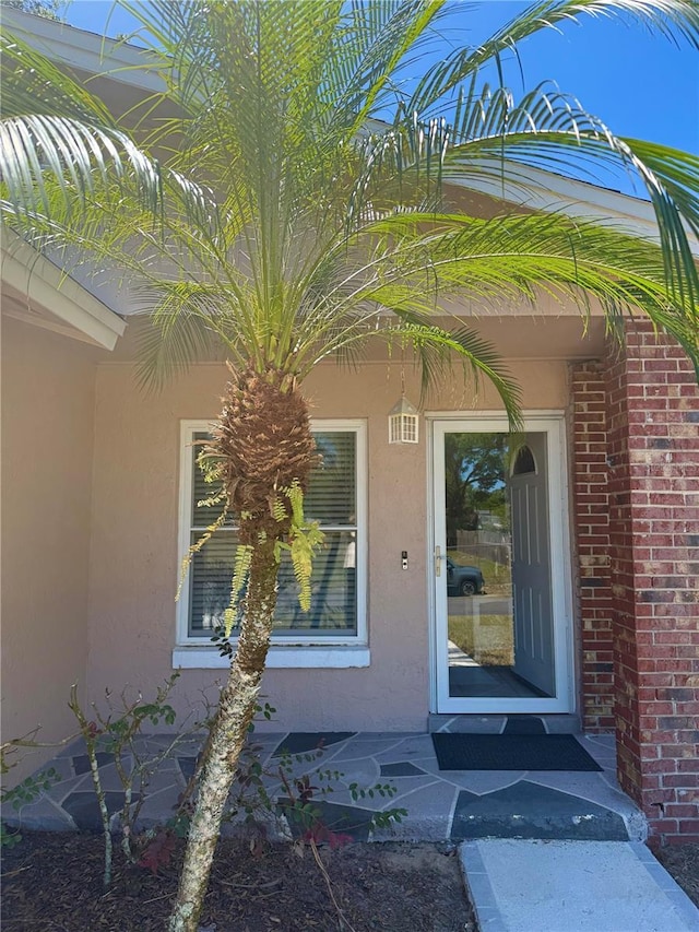 view of exterior entry with stucco siding