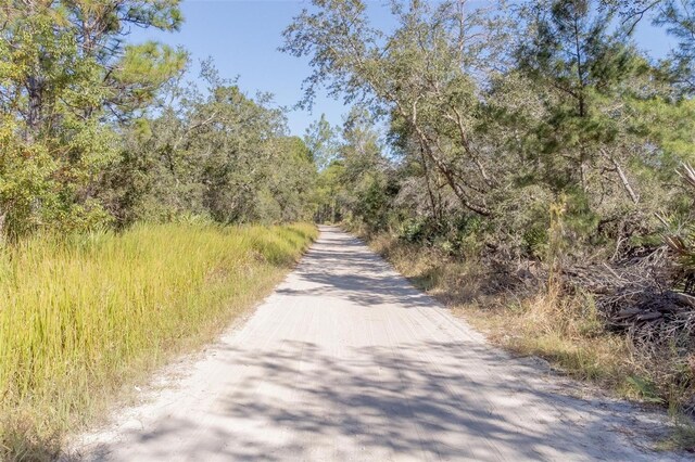 736 Keelhaul Rd, Osteen, FL 32764 - photo 5
