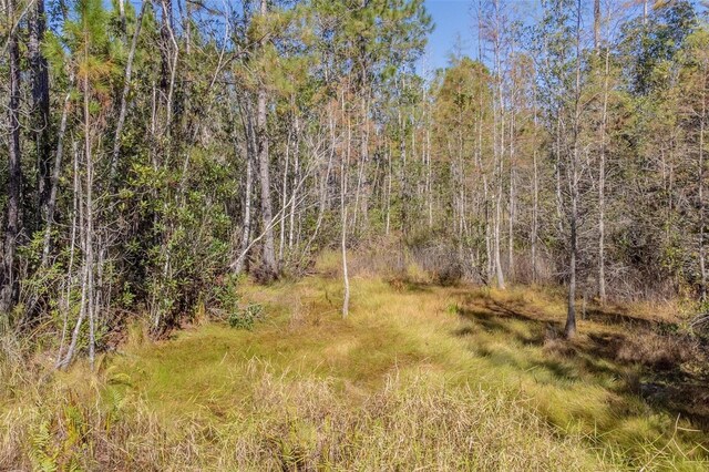 736 Keelhaul Rd, Osteen, FL 32764 - photo 20