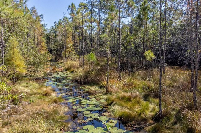 736 Keelhaul Rd, Osteen, FL 32764 - photo 21