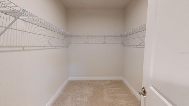 1002 Chelan Falls Dr, Deland, FL 32724 - spacious closet featuring light carpet