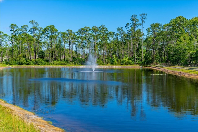 2901 Monaghan Dr, Ormond Beach, FL 32174 - property view of water featuring a forest view