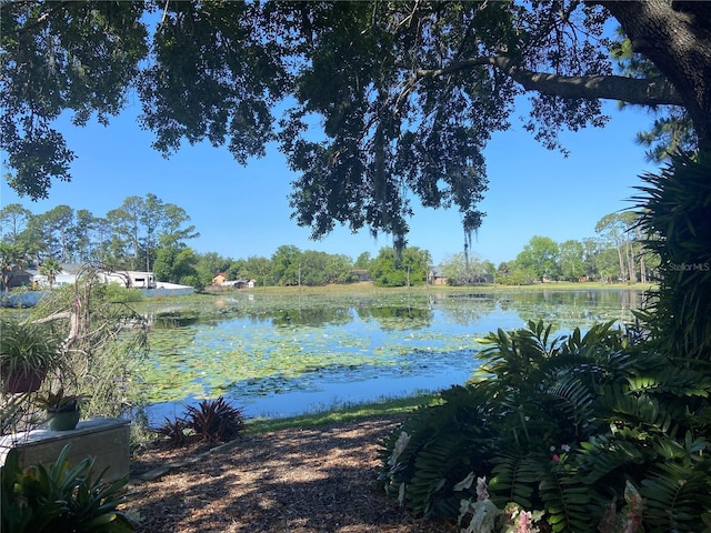 view of water feature