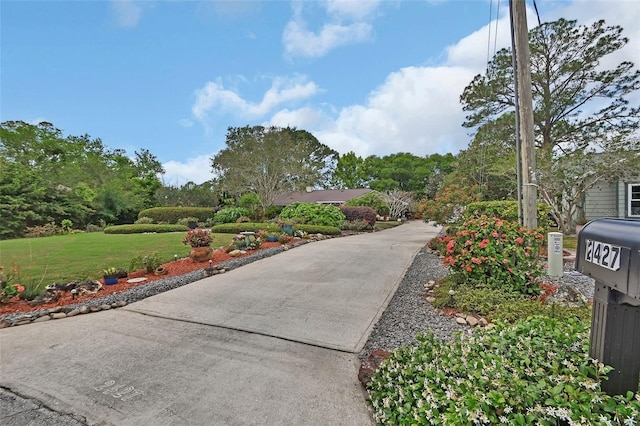 view of property's community featuring a yard