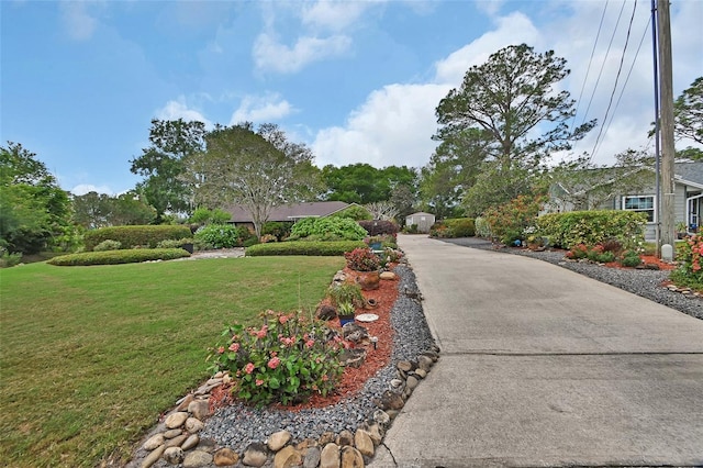 view of community with a yard