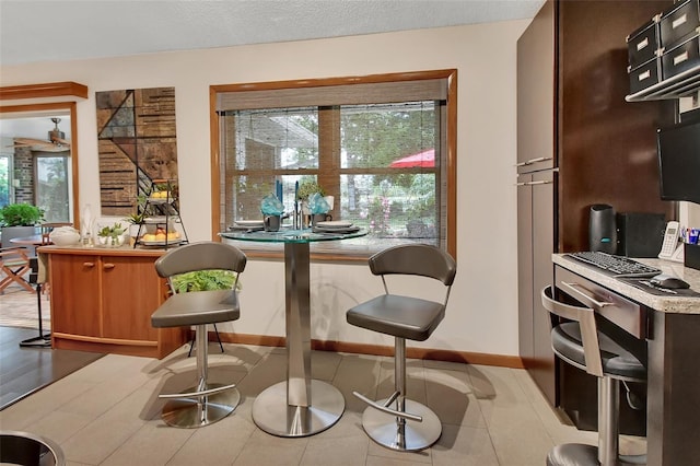 dining area with baseboards and plenty of natural light