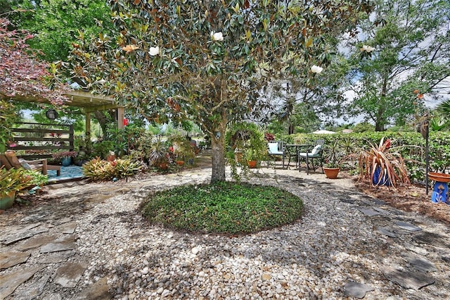 view of yard featuring a patio