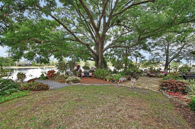view of yard with a water view