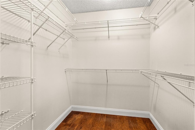 walk in closet featuring wood finished floors