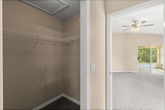 10 Zebrawood Ct, Palm Coast, FL 32164 - walk in closet featuring attic access, a ceiling fan, vaulted ceiling, and carpet flooring