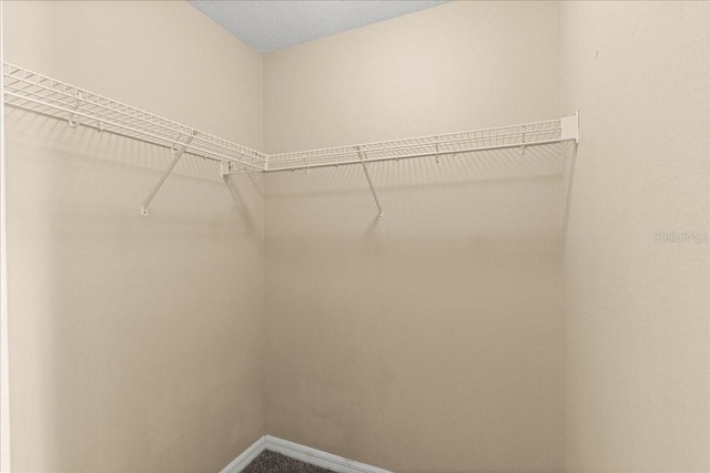 10 Zebrawood Ct, Palm Coast, FL 32164 - view of spacious closet