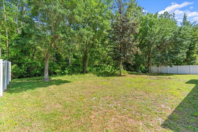 10 Zebrawood Ct, Palm Coast, FL 32164 - view of yard with fence