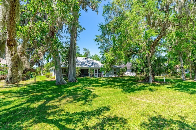 105 Riviera Estates Blvd, Ormond Beach, FL 32174 - view of yard