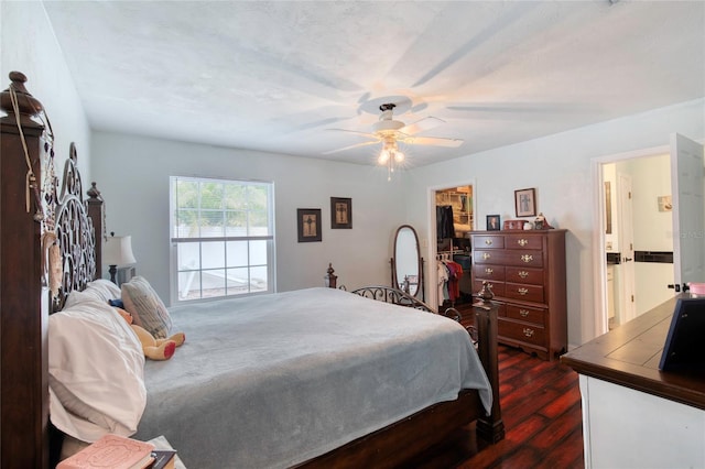 952 Northbrook Dr, Ormond Beach, FL 32174 - bedroom featuring ensuite bathroom, a closet, a walk in closet, ceiling fan, and dark wood-type flooring