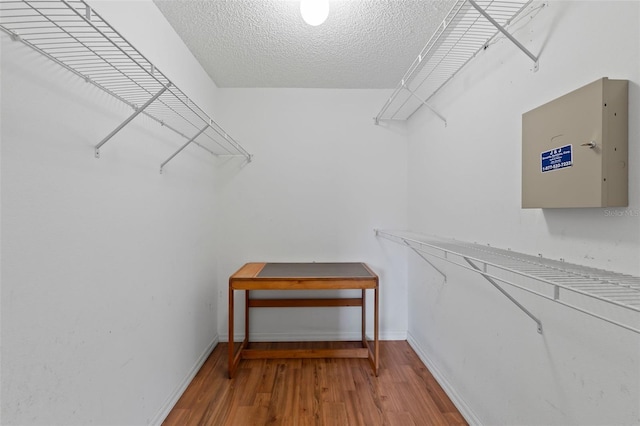 3214 Juniper Dr, Edgewater, FL 32141 - spacious closet with wood finished floors