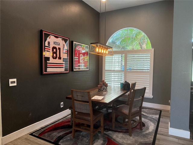 4749 Stoneview Cir, Oldsmar, FL 34677 - dining area featuring wood finished floors and baseboards