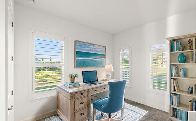 office with baseboards and carpet