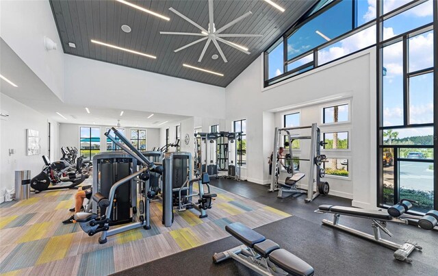 workout area featuring baseboards and a towering ceiling