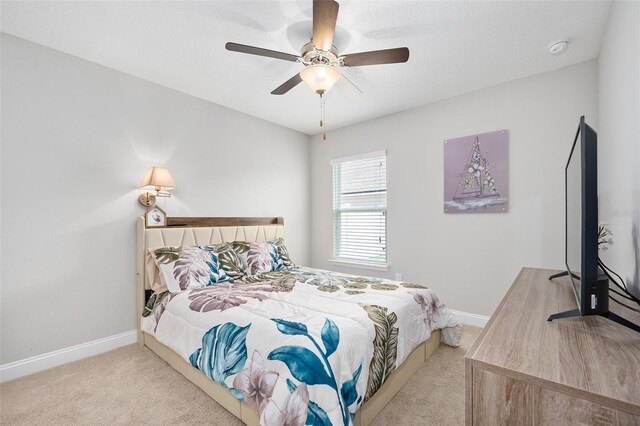 64 Coastal Hammock Way, Saint Augustine, FL 32086 - photo 25