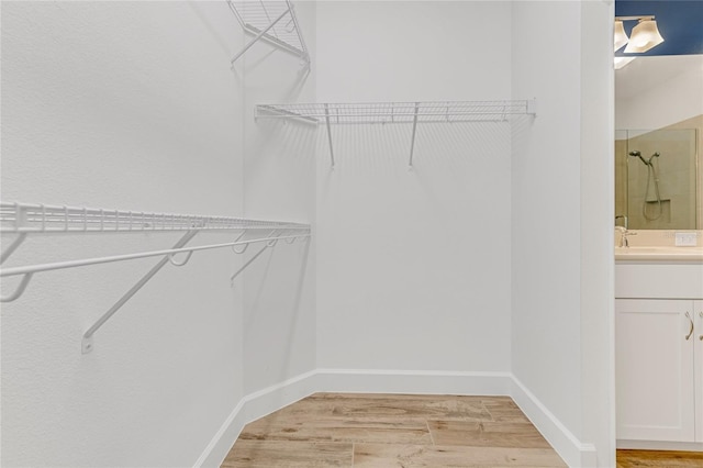 484 Landshark Blvd, Daytona Beach, FL 32124 - spacious closet featuring light wood-style floors and a sink