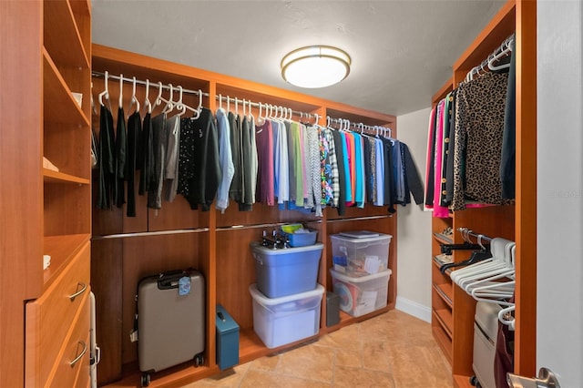 view of walk in closet