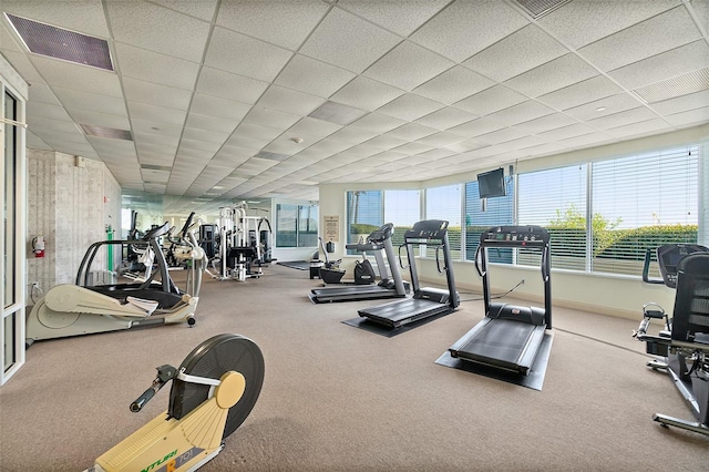 workout area with visible vents, carpet flooring, and a drop ceiling