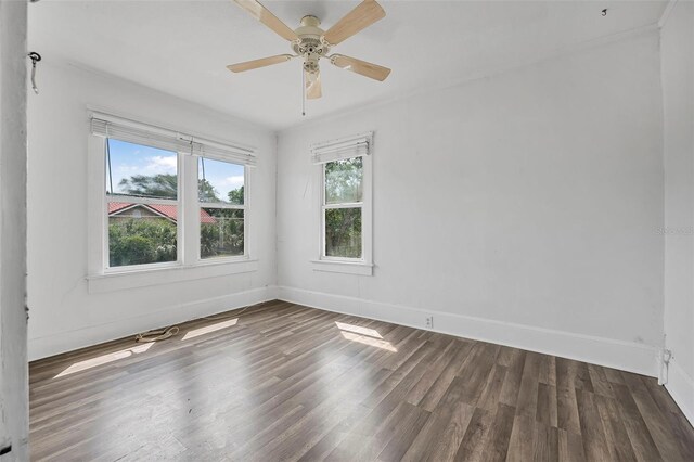 216 Earl St, Daytona Beach, FL 32118 - photo 18