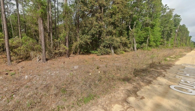 0000 Quail Hollow Rd, Satsuma, FL 32189
