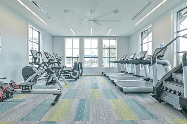660 Mosaic Blvd, Daytona Beach, FL 32124 - gym with plenty of natural light, a ceiling fan, and carpet
