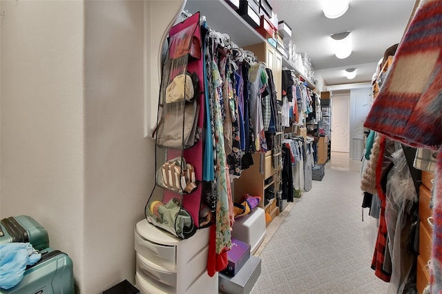 spacious closet with light colored carpet