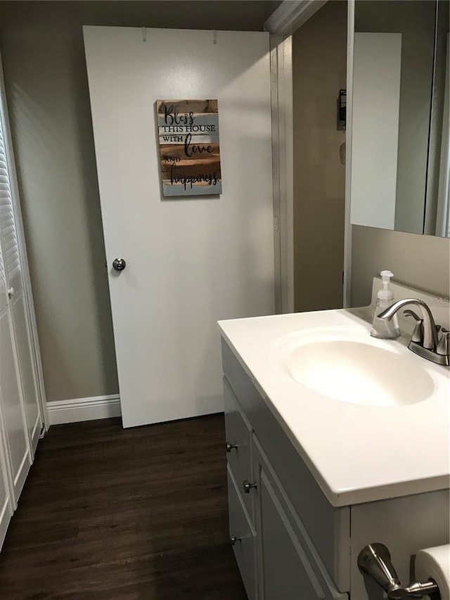 bathroom featuring wood finished floors and vanity