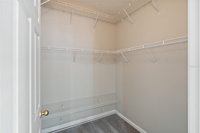 417 Victoria Hills Dr, Deland, FL 32724 - walk in closet with dark colored carpet