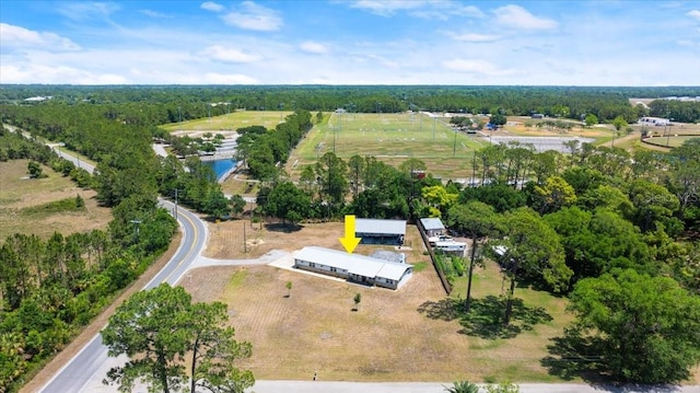 drone / aerial view