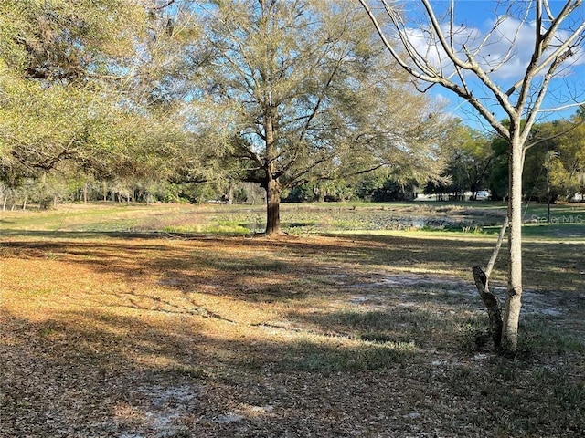 195 Lake Molly Ave, Deland, FL 32724 - photo 2