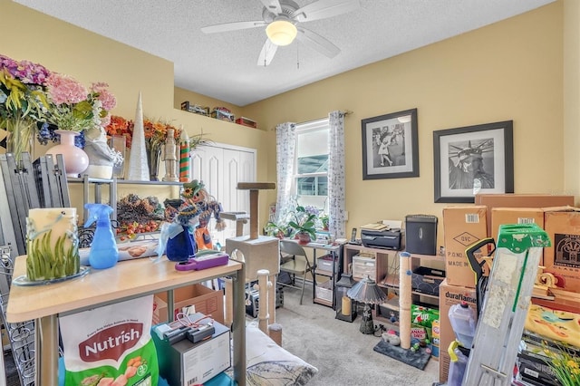 carpeted office space featuring a ceiling fan and a textured ceiling