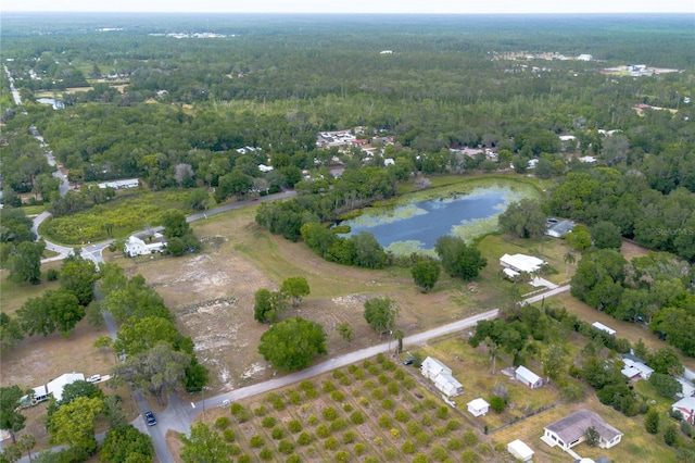 Lake Pearl Dr, Lake Helen, FL 32744