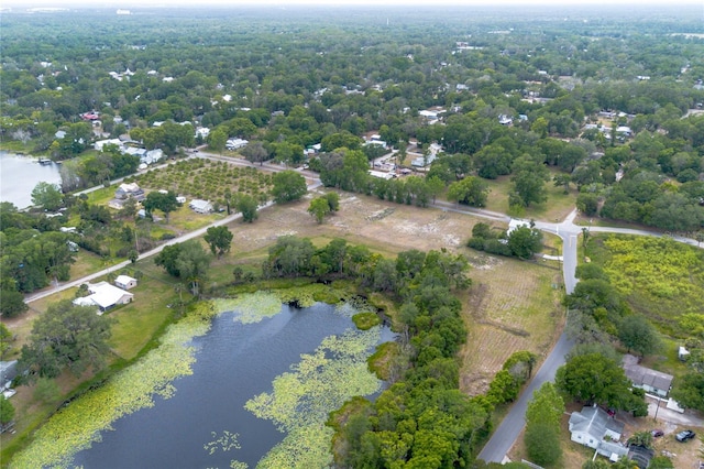 Lake Pearl Dr, Lake Helen, FL 32744