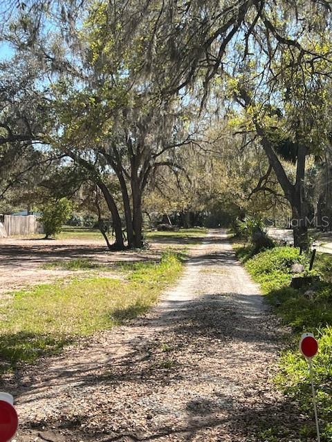 485 Dickson Ave, Osteen, FL 32764 - photo 3