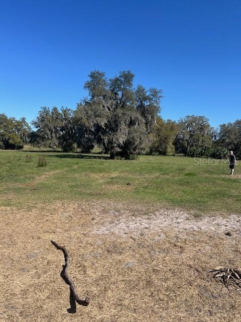 485 Dickson Ave, Osteen, FL 32764 - photo 28