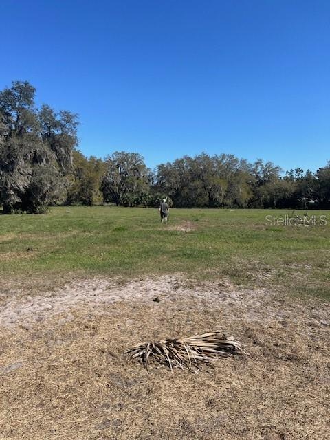 485 Dickson Ave, Osteen, FL 32764 - photo 29