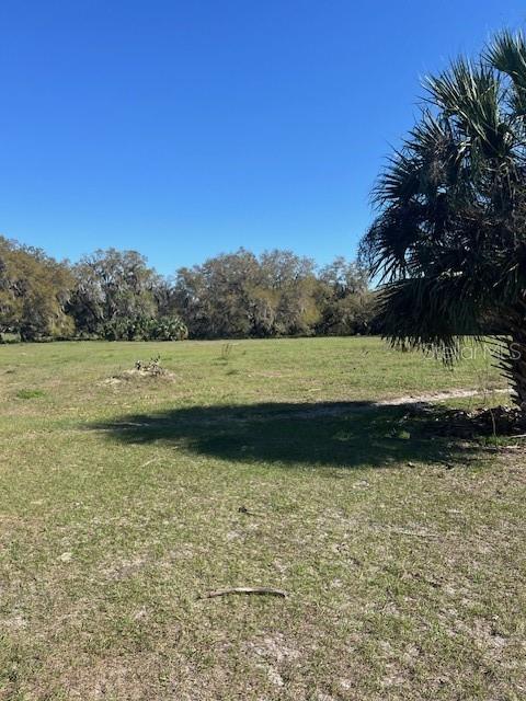 485 Dickson Ave, Osteen, FL 32764 - photo 40