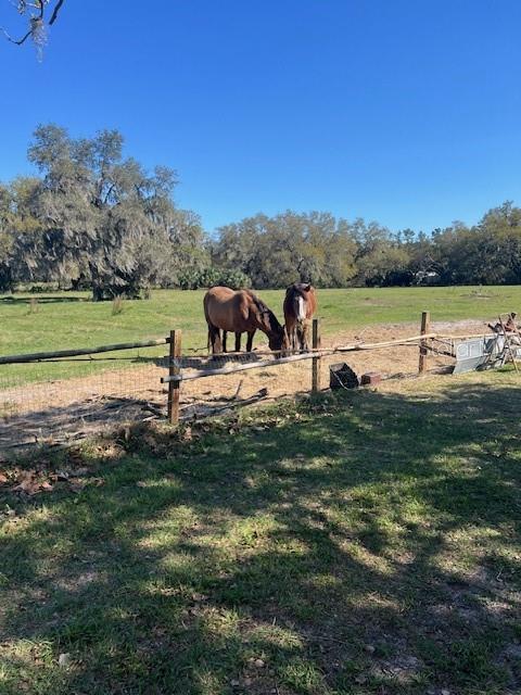485 Dickson Ave, Osteen, FL 32764 - photo 41