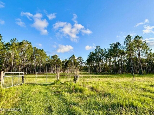 201 Wasick Ln, Ormond Beach, FL 32174