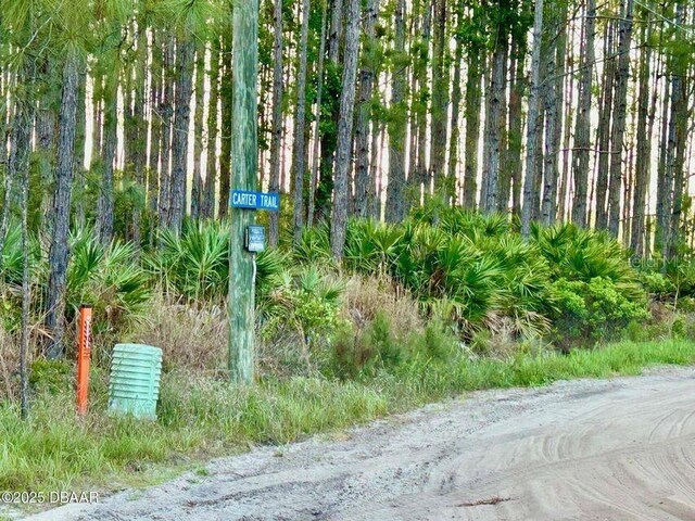 201 Wasick Ln, Ormond Beach, FL 32174