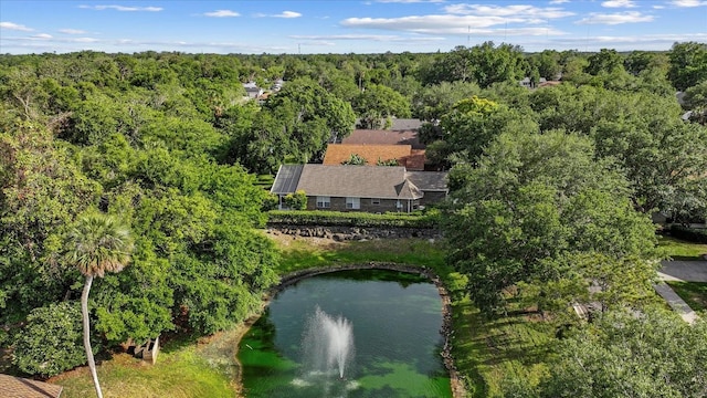 30 Reflections Village Dr, Ormond Beach, FL 32174 - bird's eye view with a water view and a wooded view