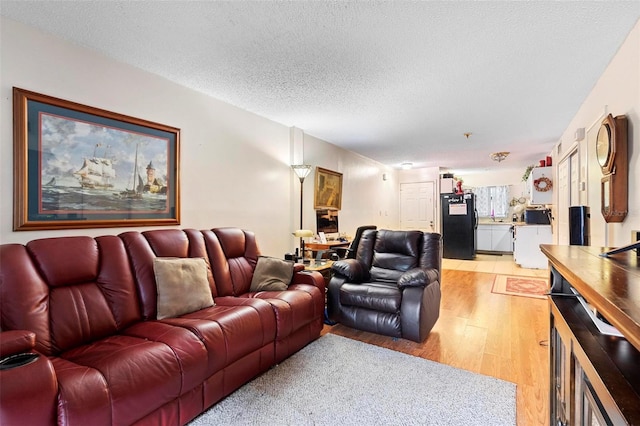313 Dirksen Dr Unit A5, Debary, FL 32713 - living area featuring light wood finished floors and a textured ceiling