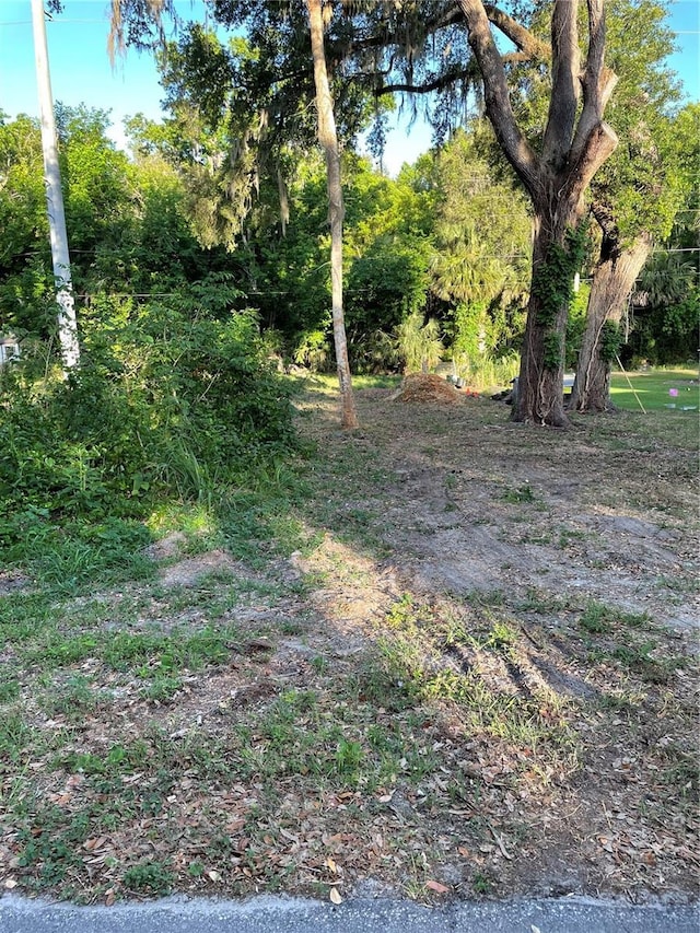 5320 Park Ave, De Leon Springs FL, 32130 land for sale