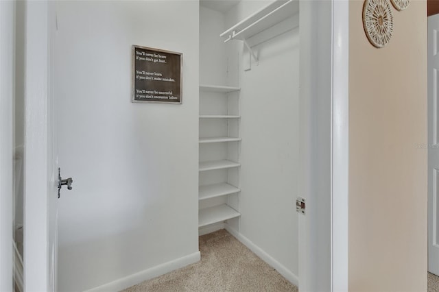 walk in closet featuring carpet floors
