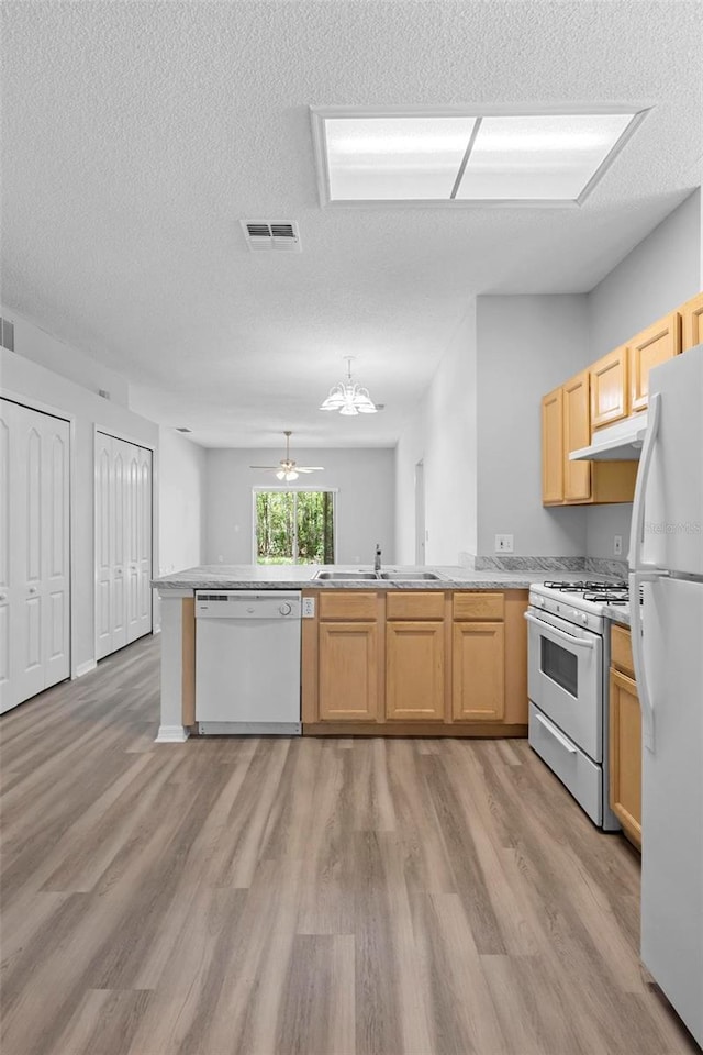 15733 Green Point Ct, Clermont, FL 34714 - kitchen featuring a peninsula, light wood finished floors, a sink, visible vents, and white appliances