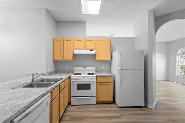 15733 Green Point Ct, Clermont, FL 34714 - kitchen featuring a sink, white appliances, under cabinet range hood, light wood-style flooring, and light countertops